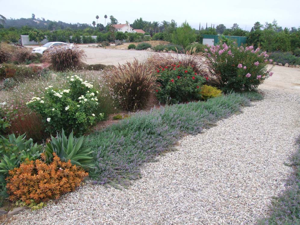 Gravel Flanked by Pastel Beauties