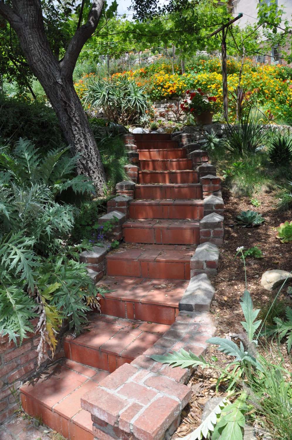 Steps to Garden