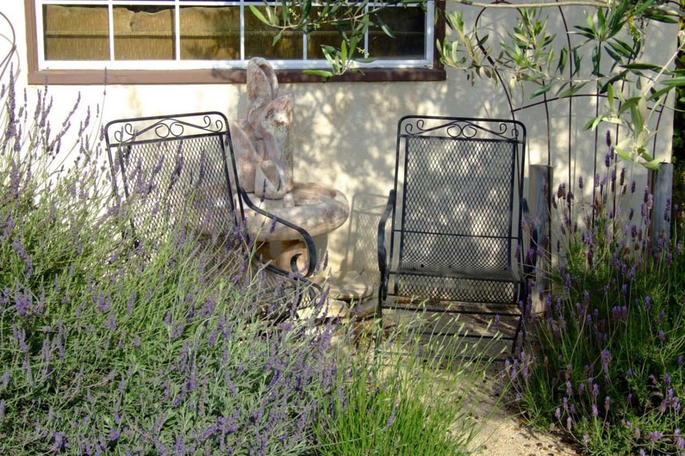 Pair of Chairs Behind Lavender